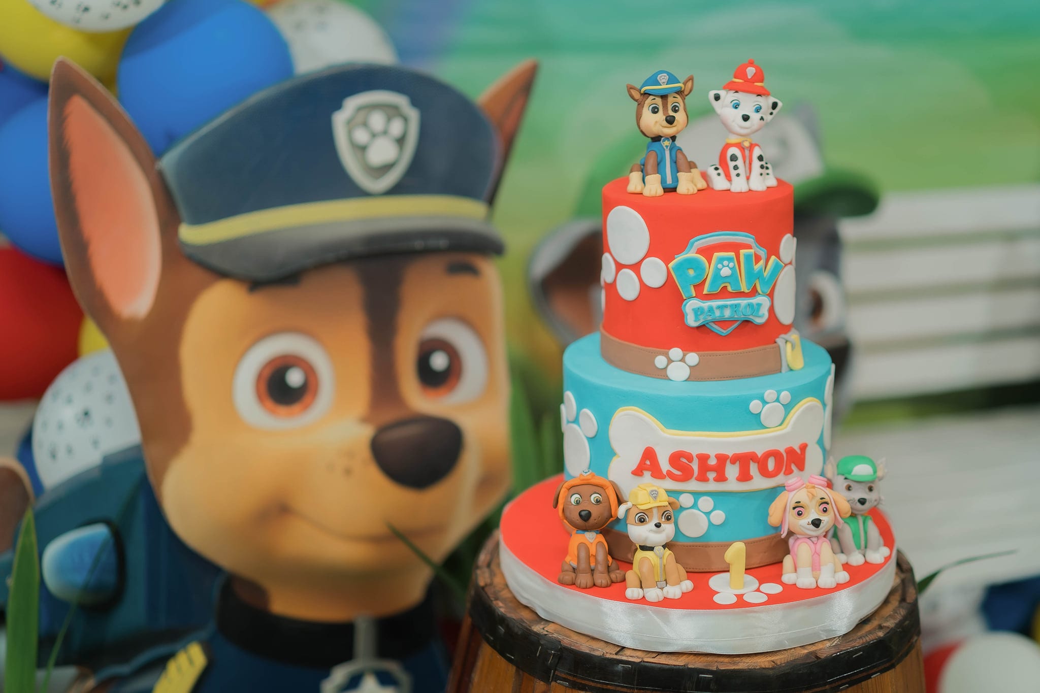 Paw Patrol-themed party
