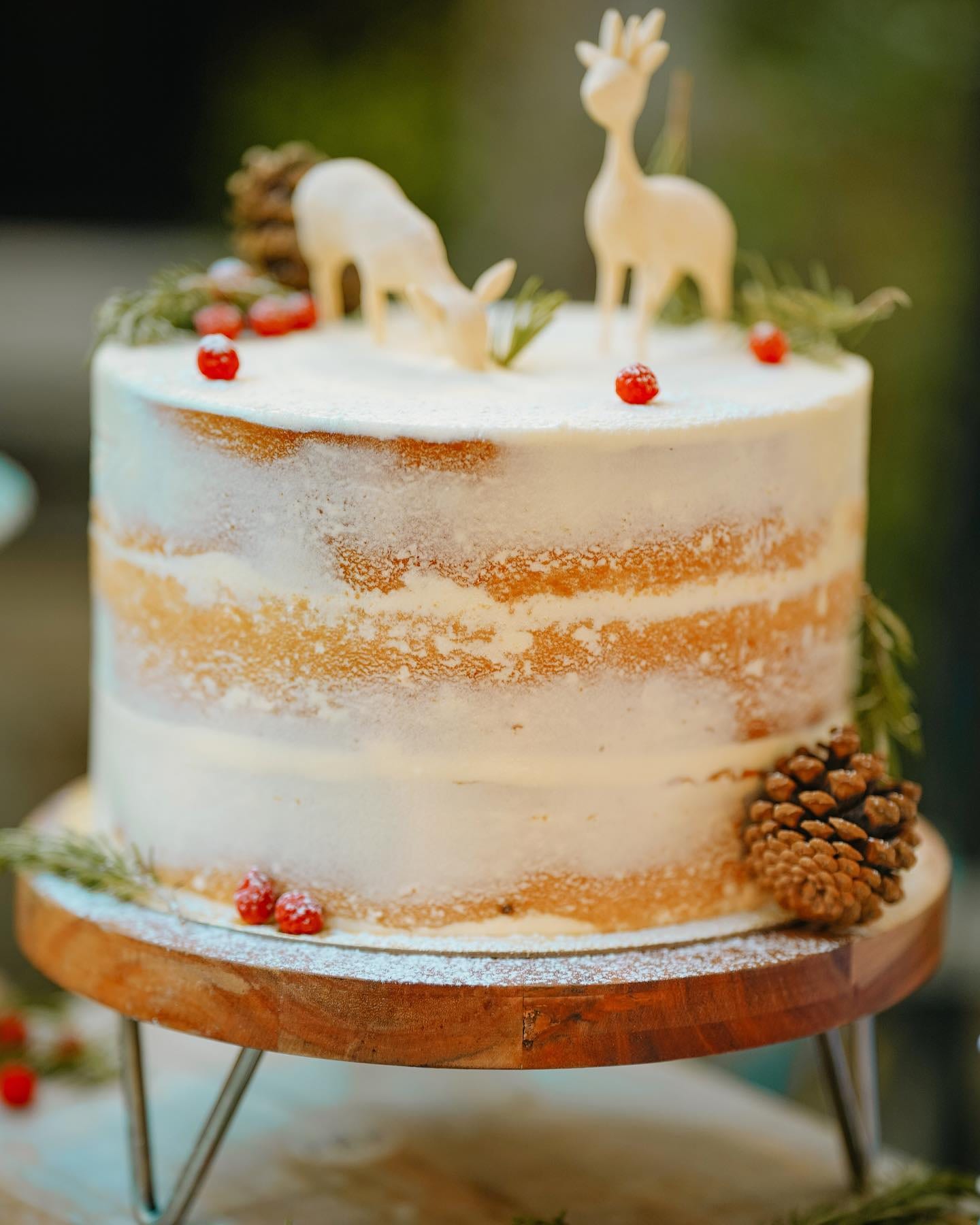Cake