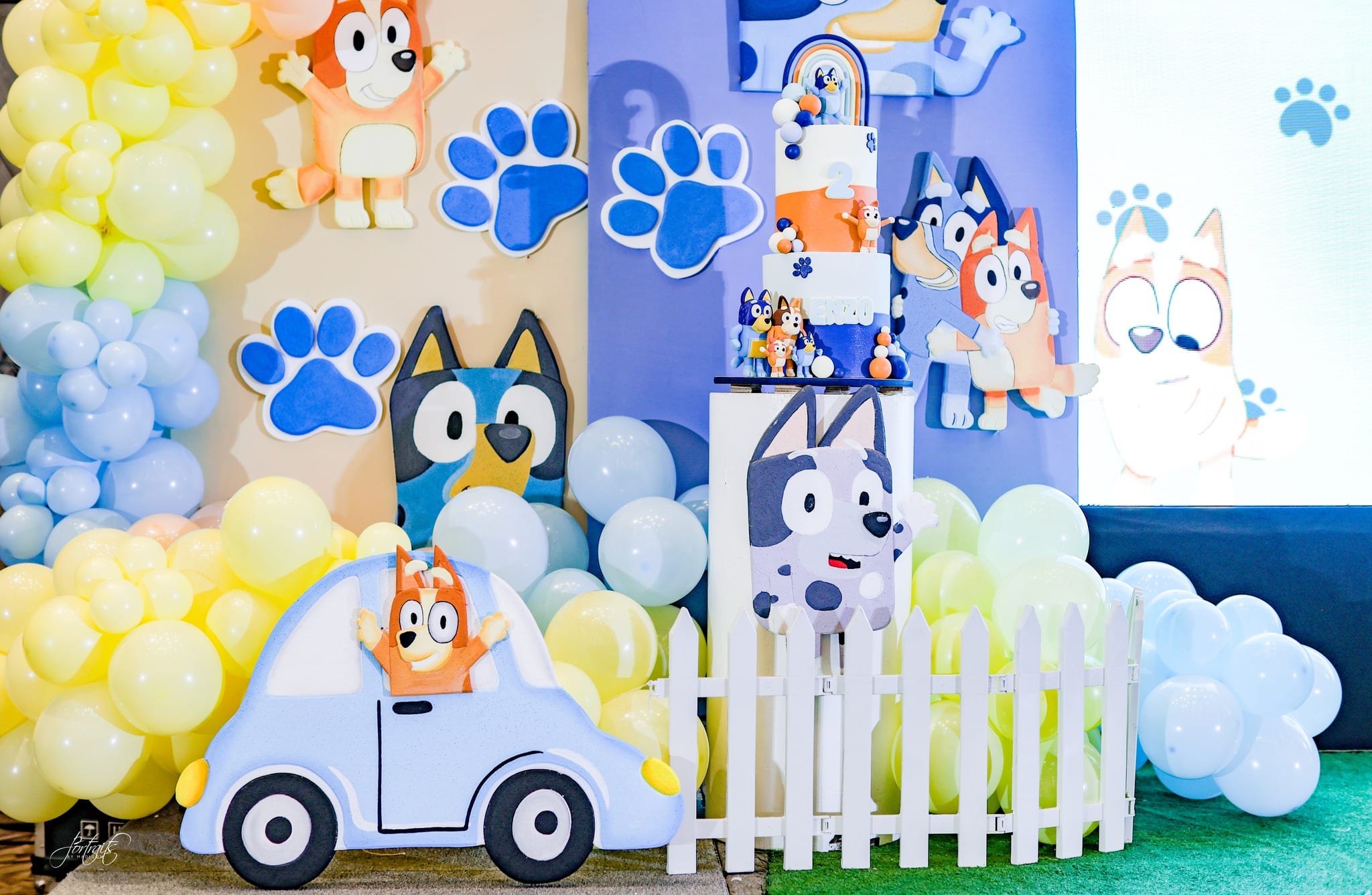 Bluey-themed party