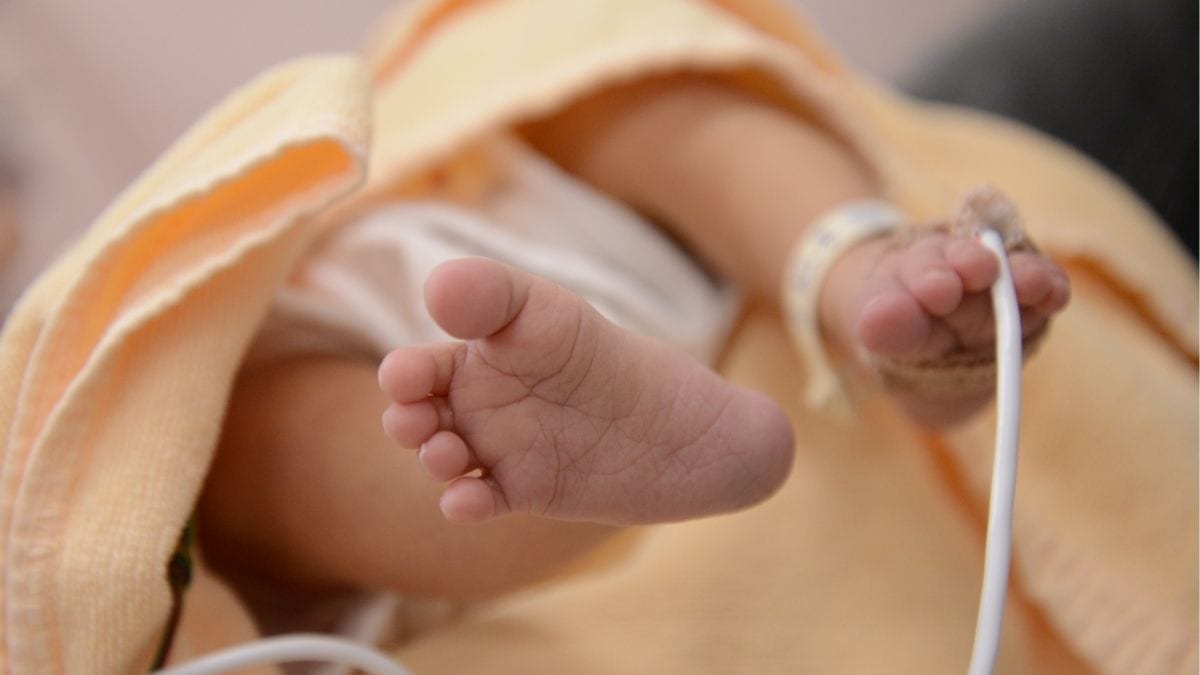 Common Plastic Chemicals Linked to Millions of Preterm Births Worldwide