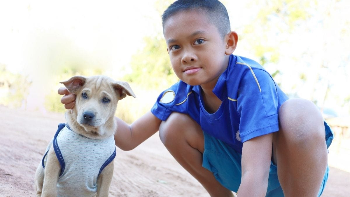 Watch Out for Heat Stress and Pet Bite Risks as Temperatures Rise, DOH Warns