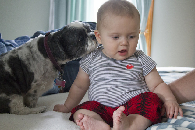 Study Has Found that Kids Who Grew Up With Dogs Have Lower Risks of ...