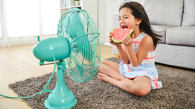 Electric Fan: What to Consider When Buying One