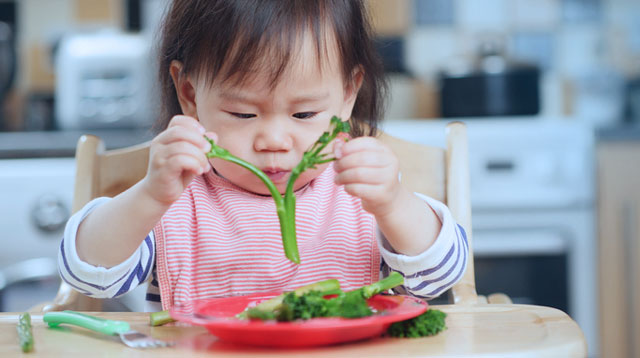 Build Vocabulary and Hone Your Child's Senses With Vegetables