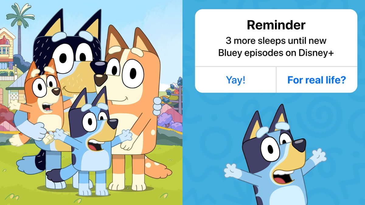 New Bluey Episodes On Disney+