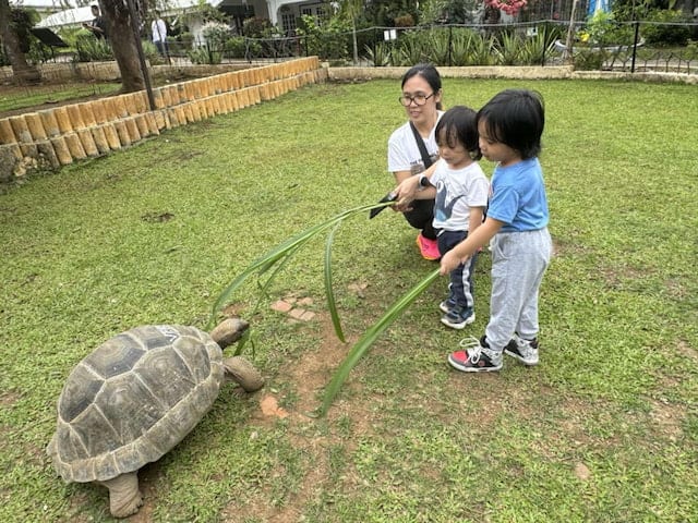 BIRTHDAY TRIP AT YOKI'S FARM
