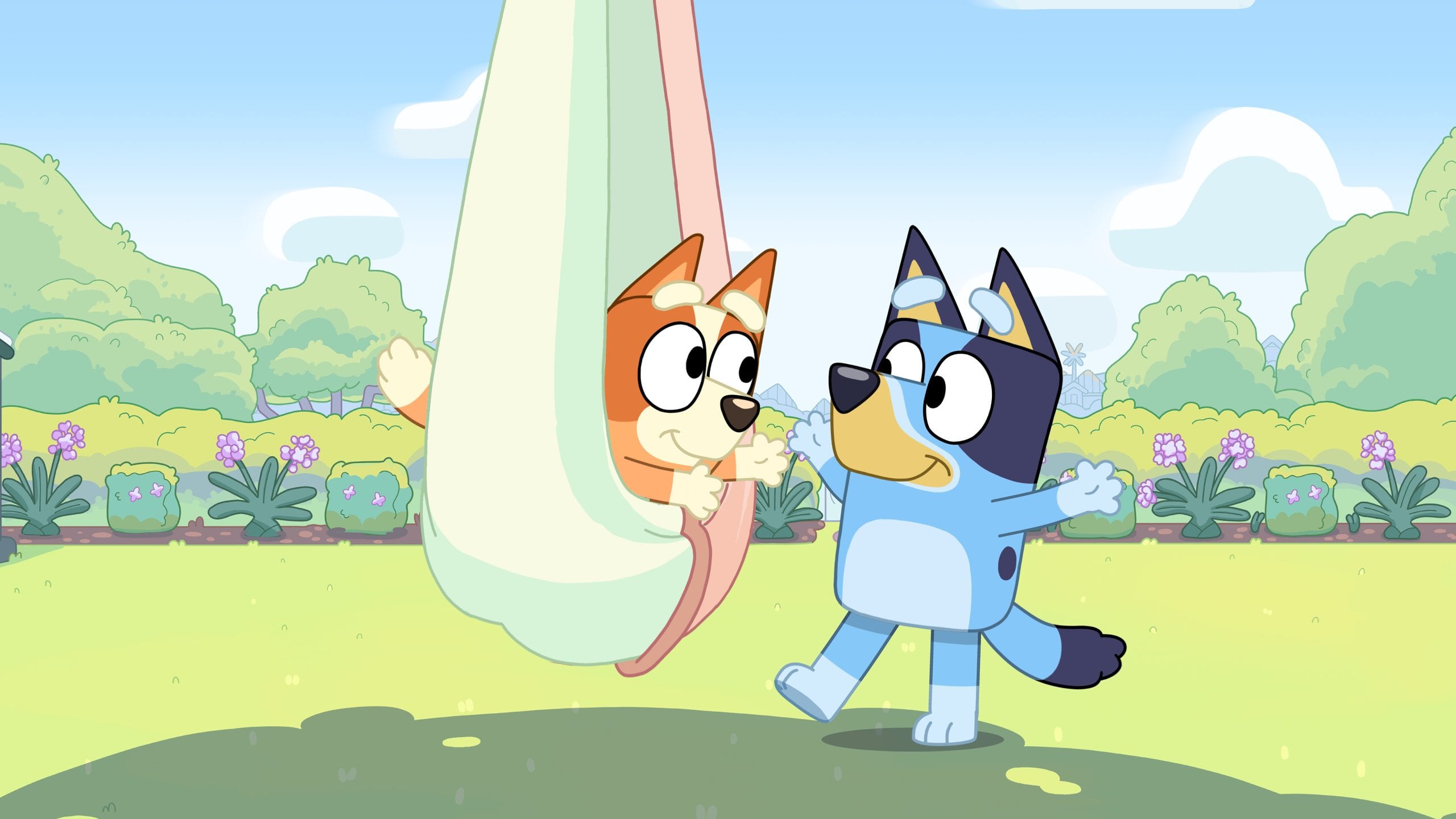 Bluey and Bingo.