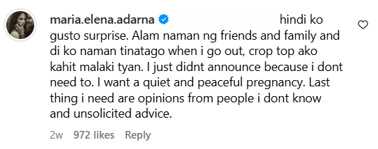 Ellen Adarna's comment on why she didn't announce her second pregnancy.