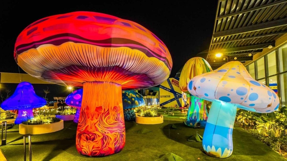 MOA Night of Lights 2024