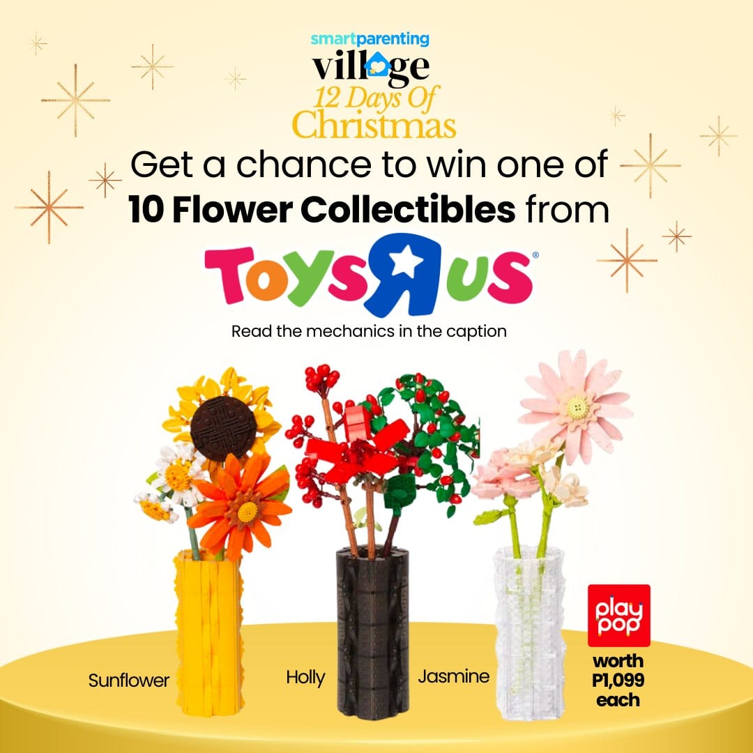Day 1: December 14: Play Pop Flower Collection from Toys R Us
