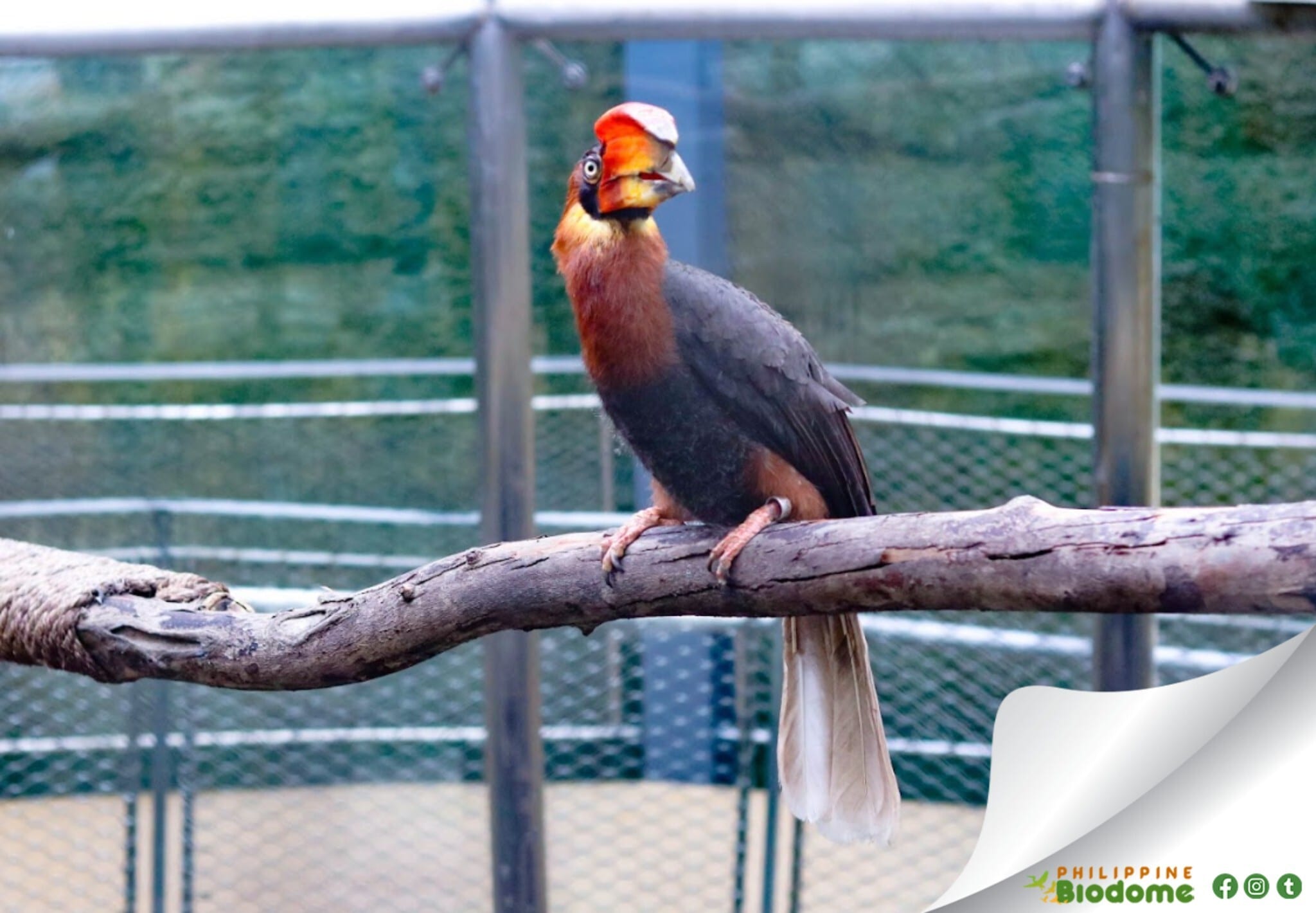 Philippine Biodome