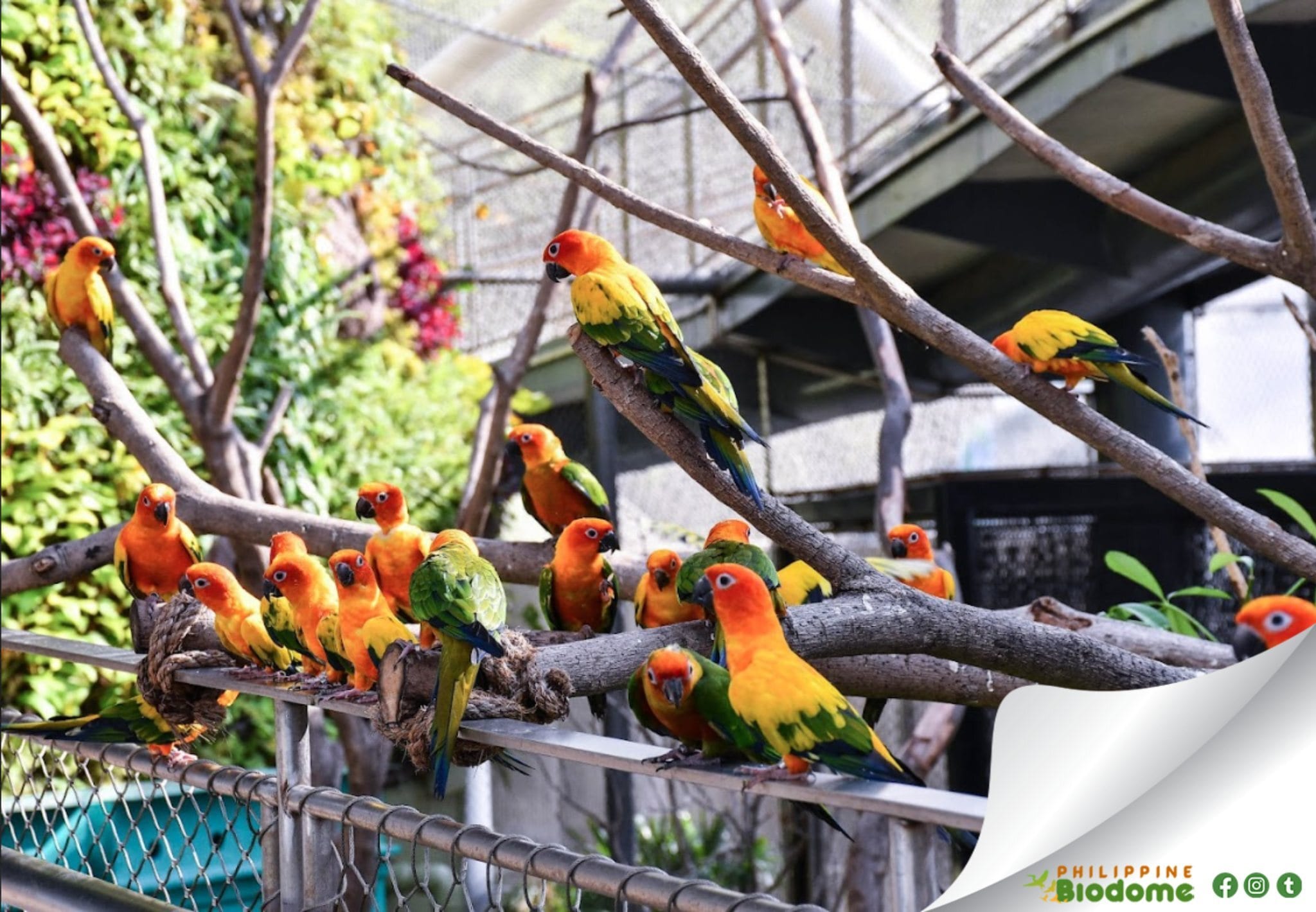 Philippine Biodome