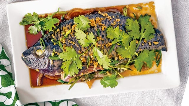 Chinese Style Steamed Tilapia topped with cilantro