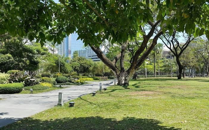 Paseo de Roxas
