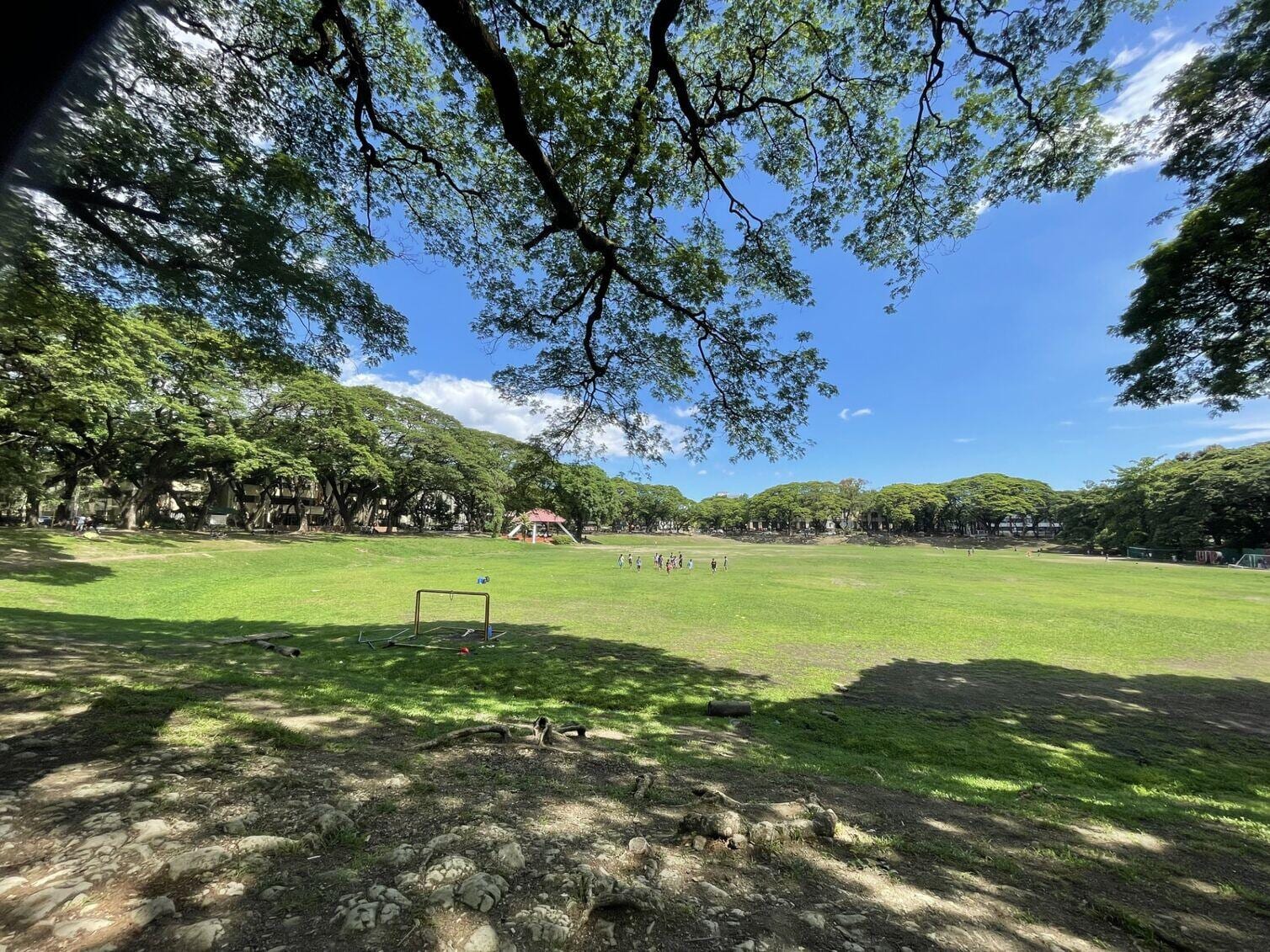 UP Sunken Garden
