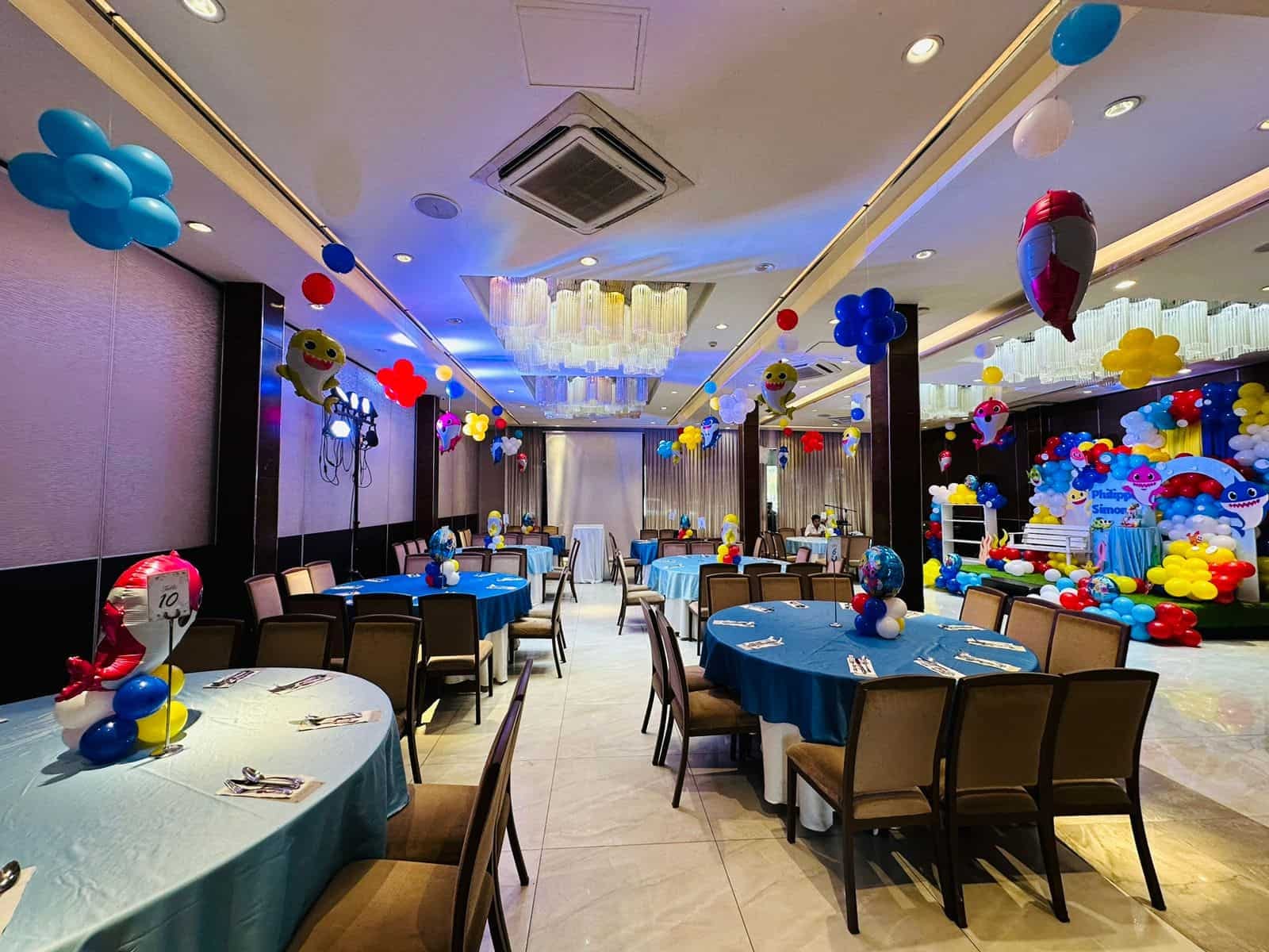 Vikings Venue birthday setup