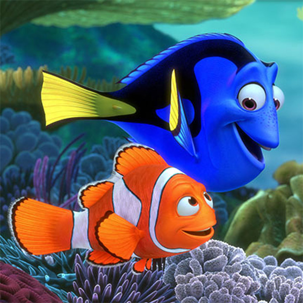 Top of the Morning: Meet the New Characters of Finding Dory