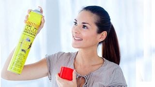 Are Insecticides Safe To Use? + Questions on Preventing Mosquito-borne Diseases Answered