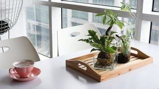 3 Areas At Home Where You Can Set Up An Indoor Garden