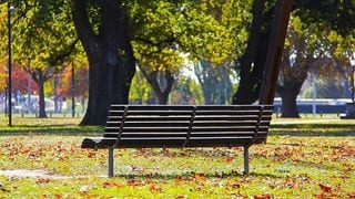 Where to Go and What to Do to Teach City Kids About Wildlife