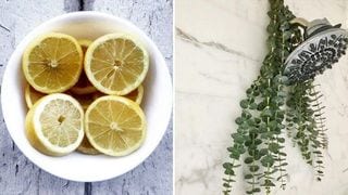 5 Simple Ways To Keep Your Home Smelling Good 24/7