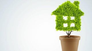 5 Ways To Purify The Air At Home