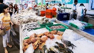 This Supermarket Has the Biggest Seafood Selection in Town! 
