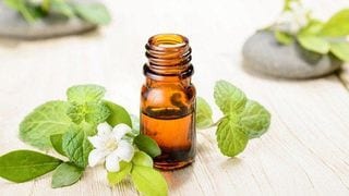 Nauseous? Restless? 9 Essential Oil Mixes That Will Bring Relief to Pregnant Women