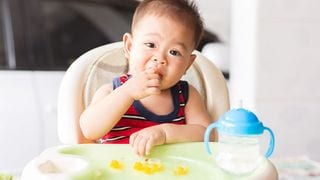 Traditional Weaning or Baby Led? This May Help You Make the Decision