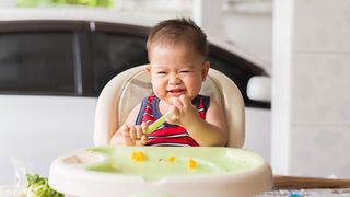 5 Top Myths About Baby's First Foods: How to Be Adventurous!
