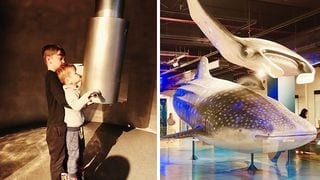 The National Museum of Natural History Is Child-Friendly! See Photos