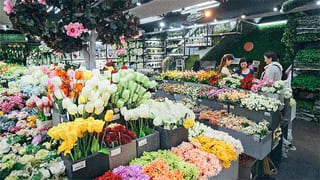 Where To Buy Fake Plants That Almost Look Real