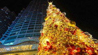 Gather the Family at These Gigantic Christmas Tree Displays Around the Metro
