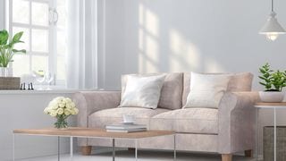 Welcome Luck and Prosperity to Your Home With Feng Shui (No Lucky Charms Required)