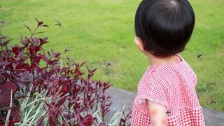 Lapitin ba ng Lamok Ang Iyong Anak? 5 Rason Kaya Siya Kinakagat