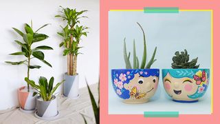 Looking For Planters For Your Container Garden? Visit These 6 Online Stores!