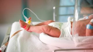Preemies Born At 22 Weeks Now Have Better Chances Of Survival, Neonatalogists Say