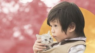 Is Your Child Ready For A Pet? Take This Short Quiz To Find Out!