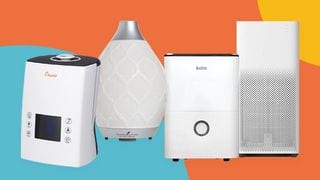 Air Purifier, Humidifier, Dehumidifier, Diffuser: Which One Should You Get For The Family?