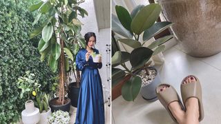 She Has Indoor Trees! All The Plants We Love in Heart Evangelista's Home