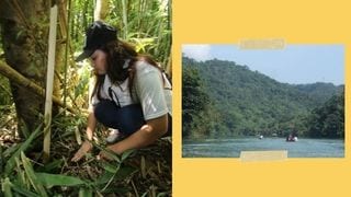 If You Use GCash, Here's A Look At The Trees You Helped Plant