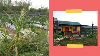 This Family's Tiny Farm In Bulacan Became Their Safe Haven During The Pandemic