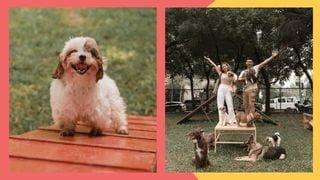 Fur Parents, First Off-Leash Dog Park In BGC Is Now Open!