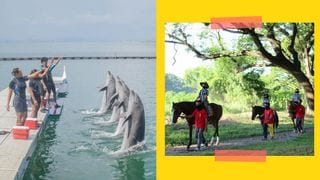 Theme Parks And Open Spaces In Subic And Clark Where Kids Are Allowed