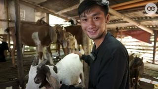 May Pera Sa Kambing! This College Student Already Has A Lucrative Goat Farm