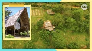 Have You Heard Of Permaculture? This Farm Can Grow 30 Different Vegetables In Just 15sqm Of Soil!