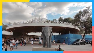This Is Your Guide To The Newly Opened Manila Zoo 