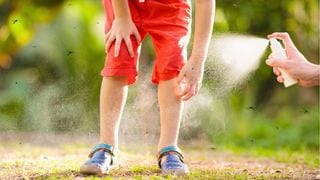 Home Remedies for Insect Bites in Young Children