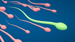 5 Factors That Could Lower A Man's Sperm Count