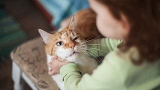 8 Perks Of Giving Your Child A Pet